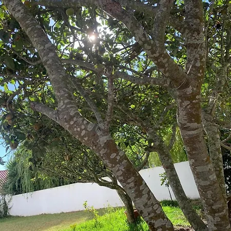 Casa Kika Pereira, Ganzes Haus Bis 11 Personen Holiday home *