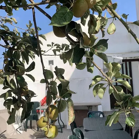 Casa Kika Pereira, Ganzes Haus Bis 11 Personen Vakantiehuis
